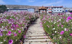 施公奇案2剧情介绍